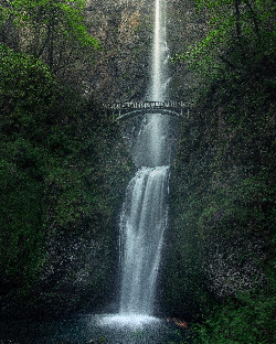 Multnomah Falls with bridge from Jake Colvin at Pexels
